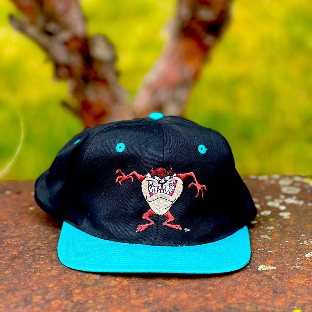 1993 Taz Looney Tunes Hat
